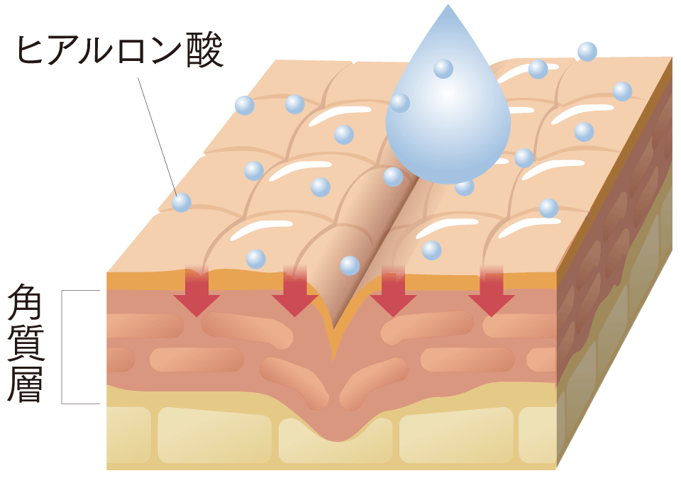 「塗る」タイプのスキンケア イメージ図