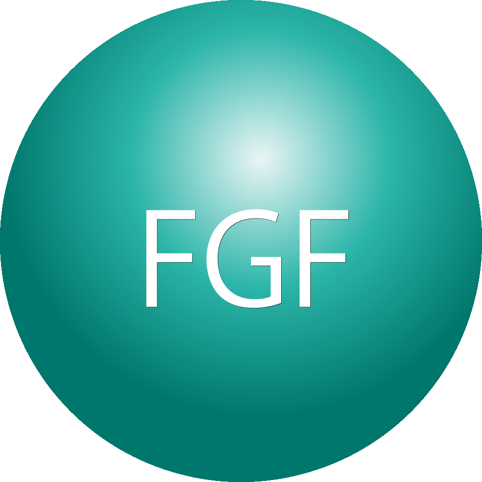 FGF