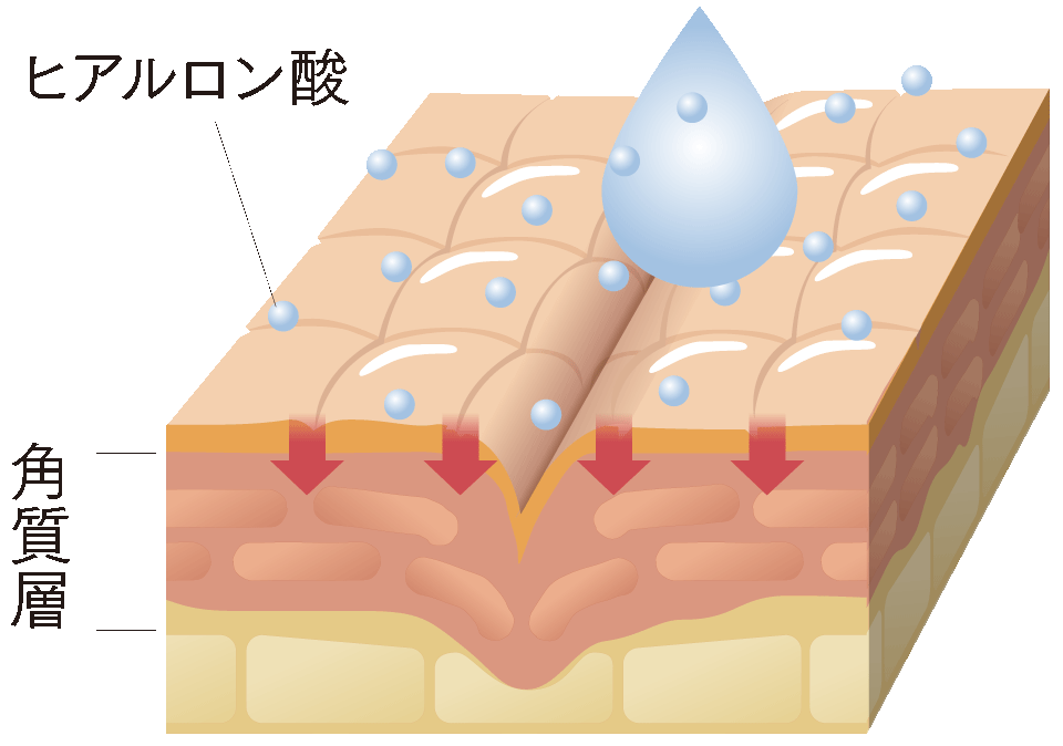 「塗る」タイプのスキンケア