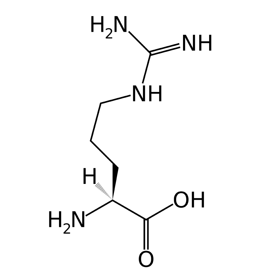 アルギニン