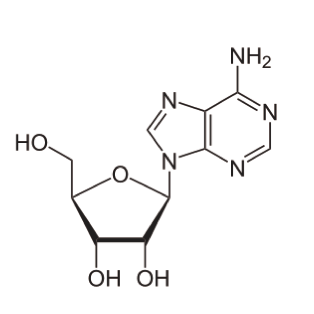 アデノシン
