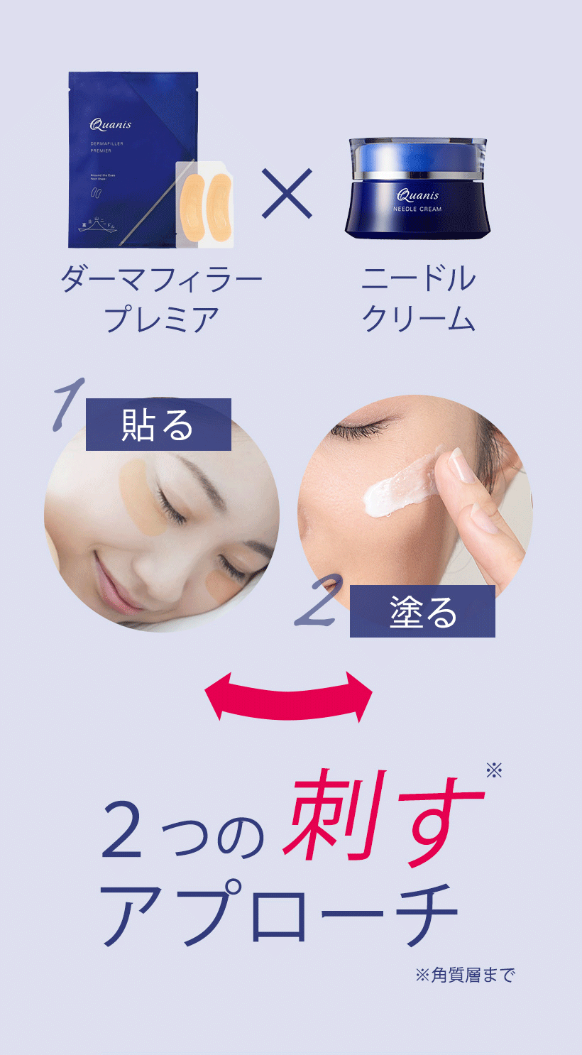 2つの刺すアプローチ