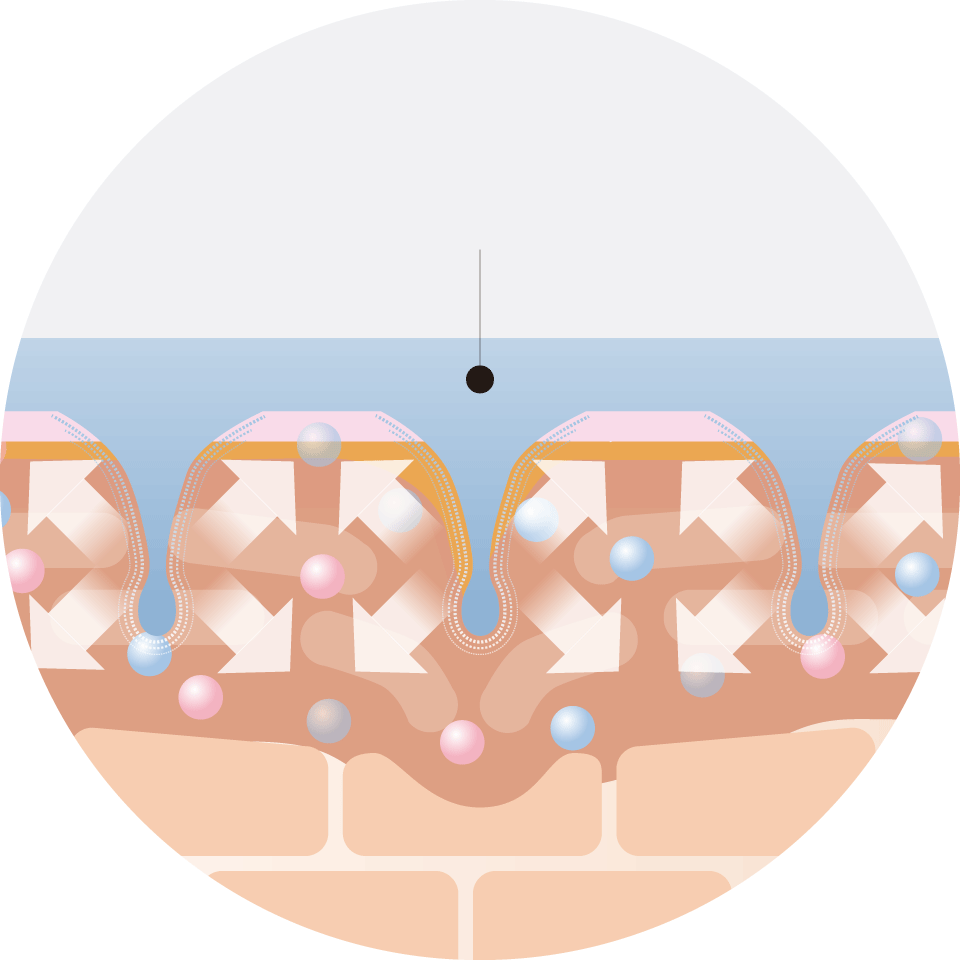 角質層までの浸透イメージ