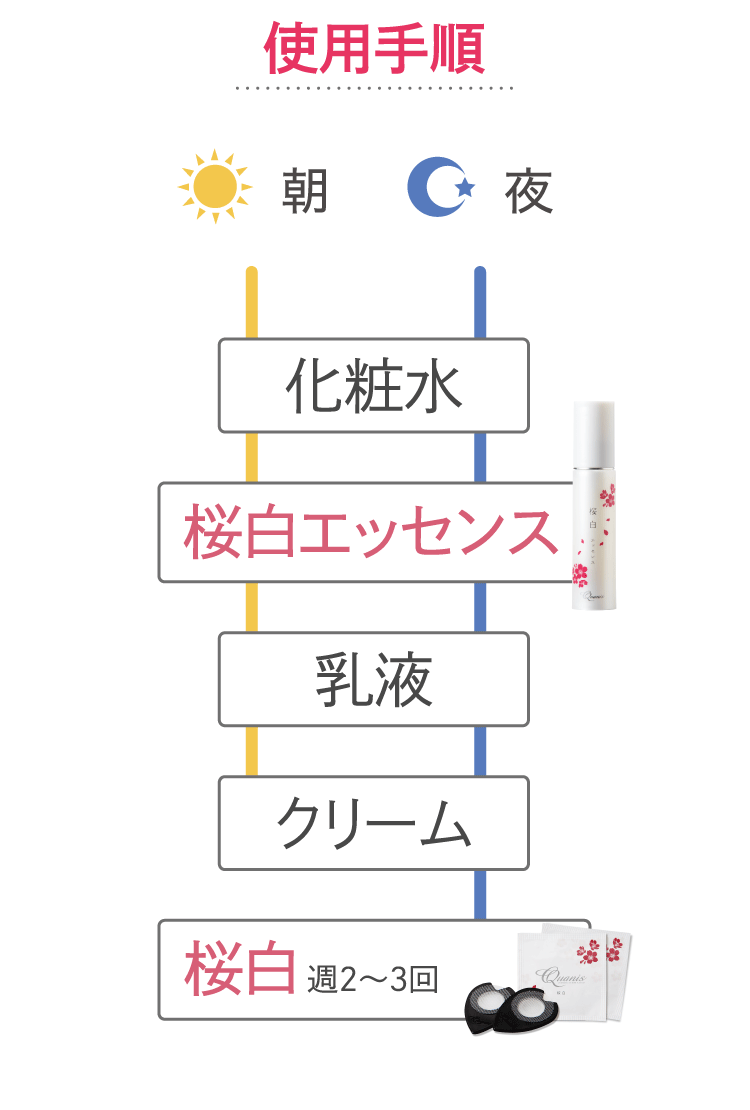 使用手順