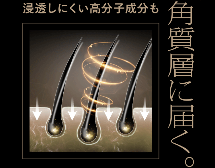 浸透しにくい高分子成分も 角質層に届く。