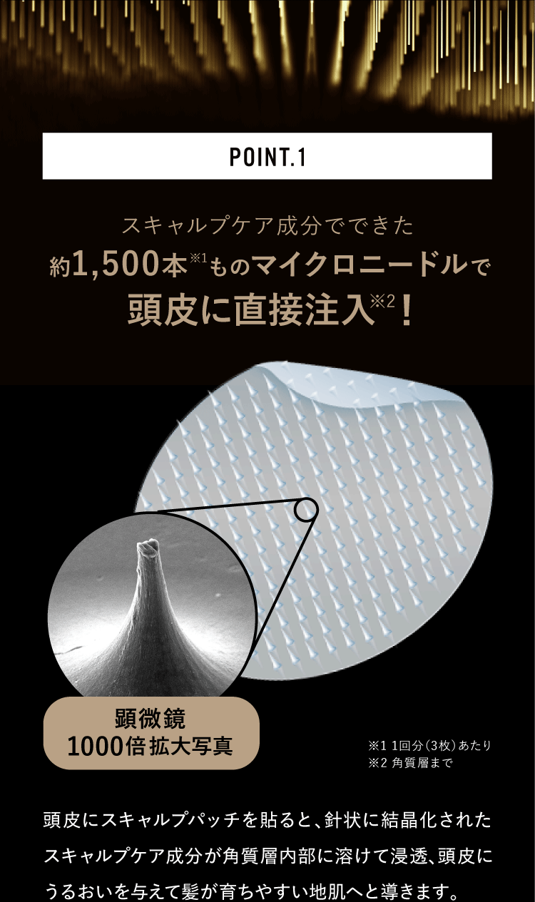 約1,500本ものマイクロニードルで頭皮に直接注入！