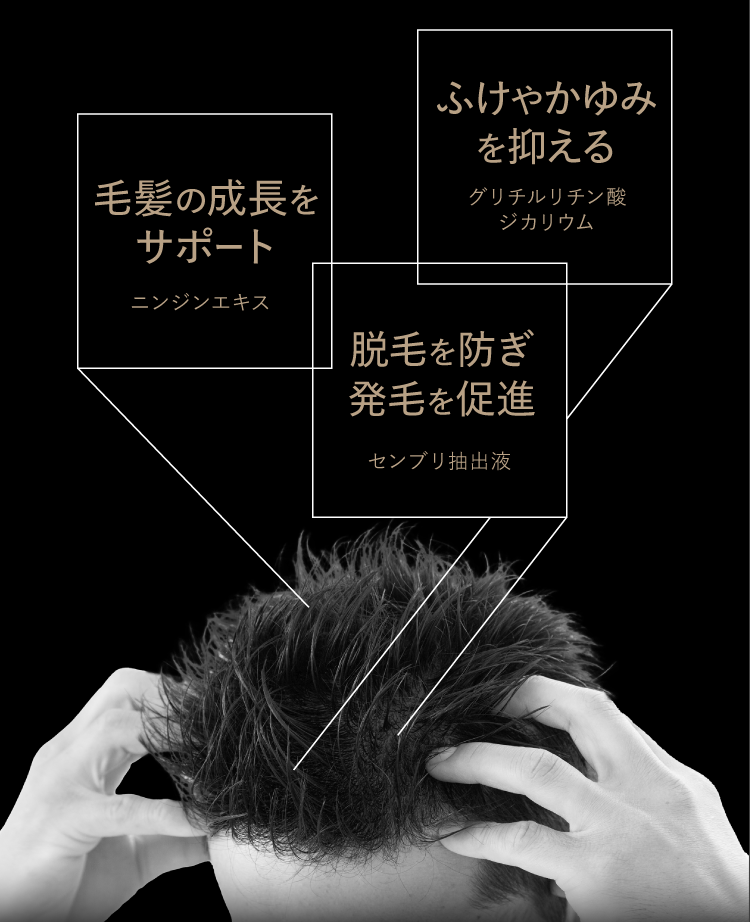 「毛髪の成長をサポート」「ふけやかゆみを抑える」「脱毛を防ぎ、発毛を促進」