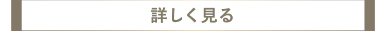 詳しく見る