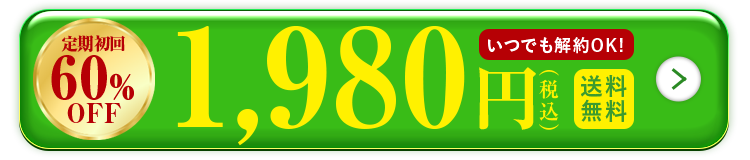 初回定期60%OFF 1,980円で申し込む