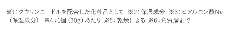 注釈