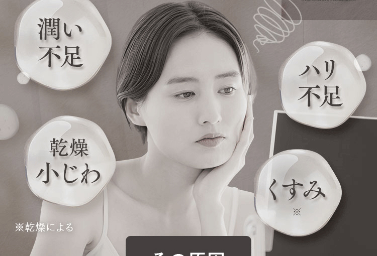 乾燥肌。潤い不足