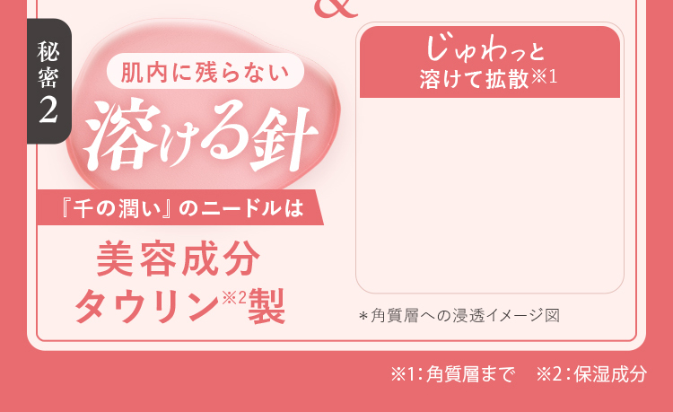 肌に残らない溶ける針
